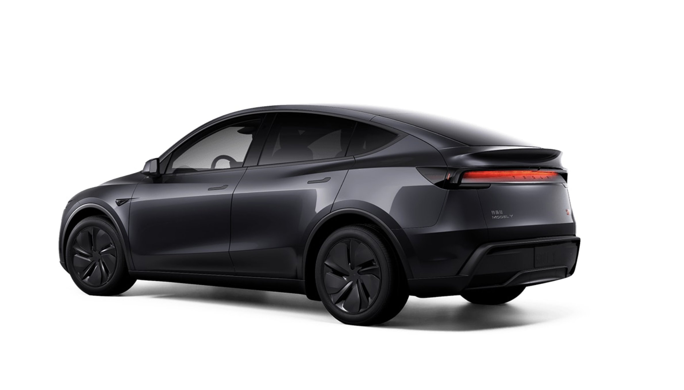 TESLA Y 