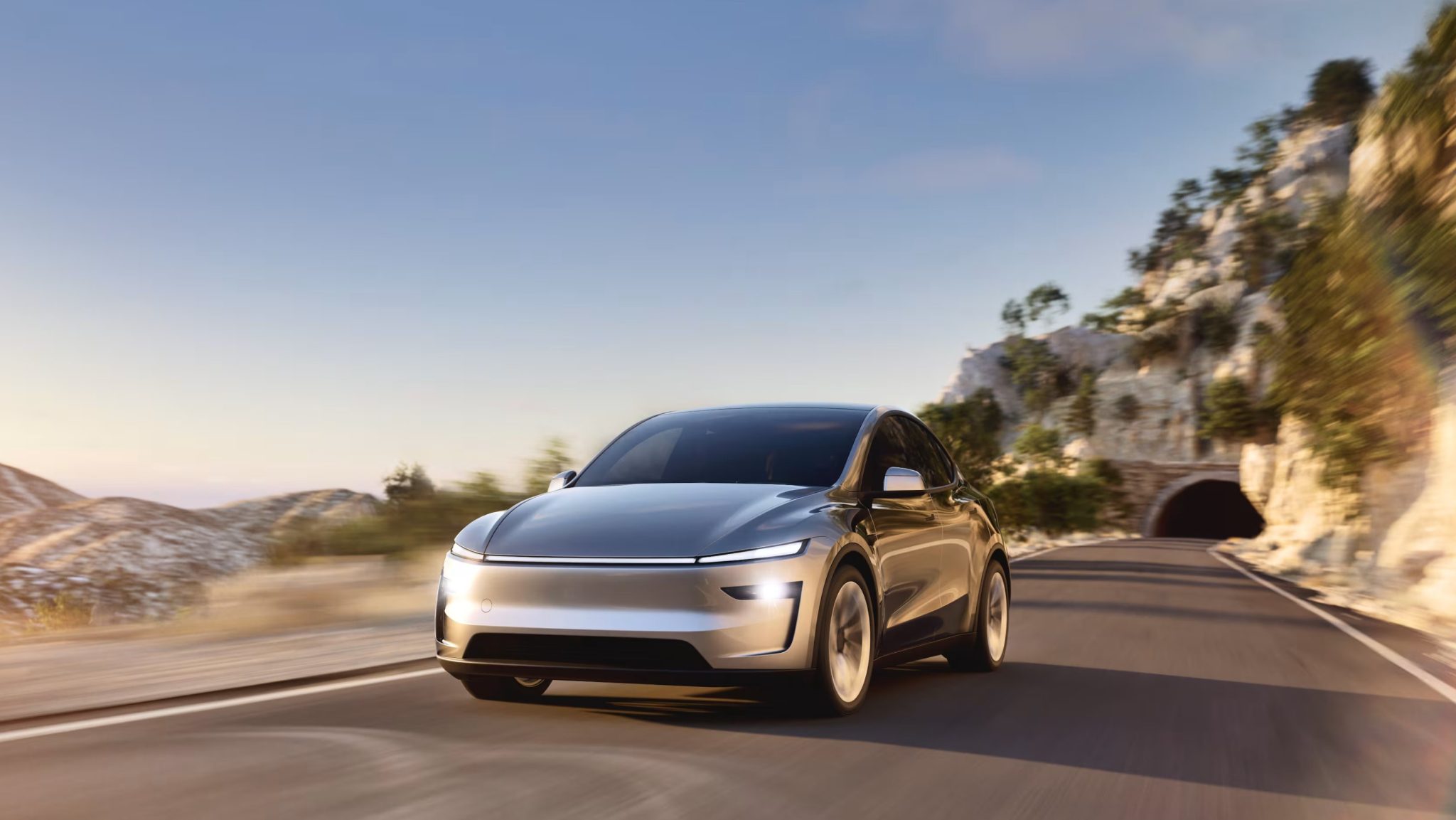 TESLA Y 